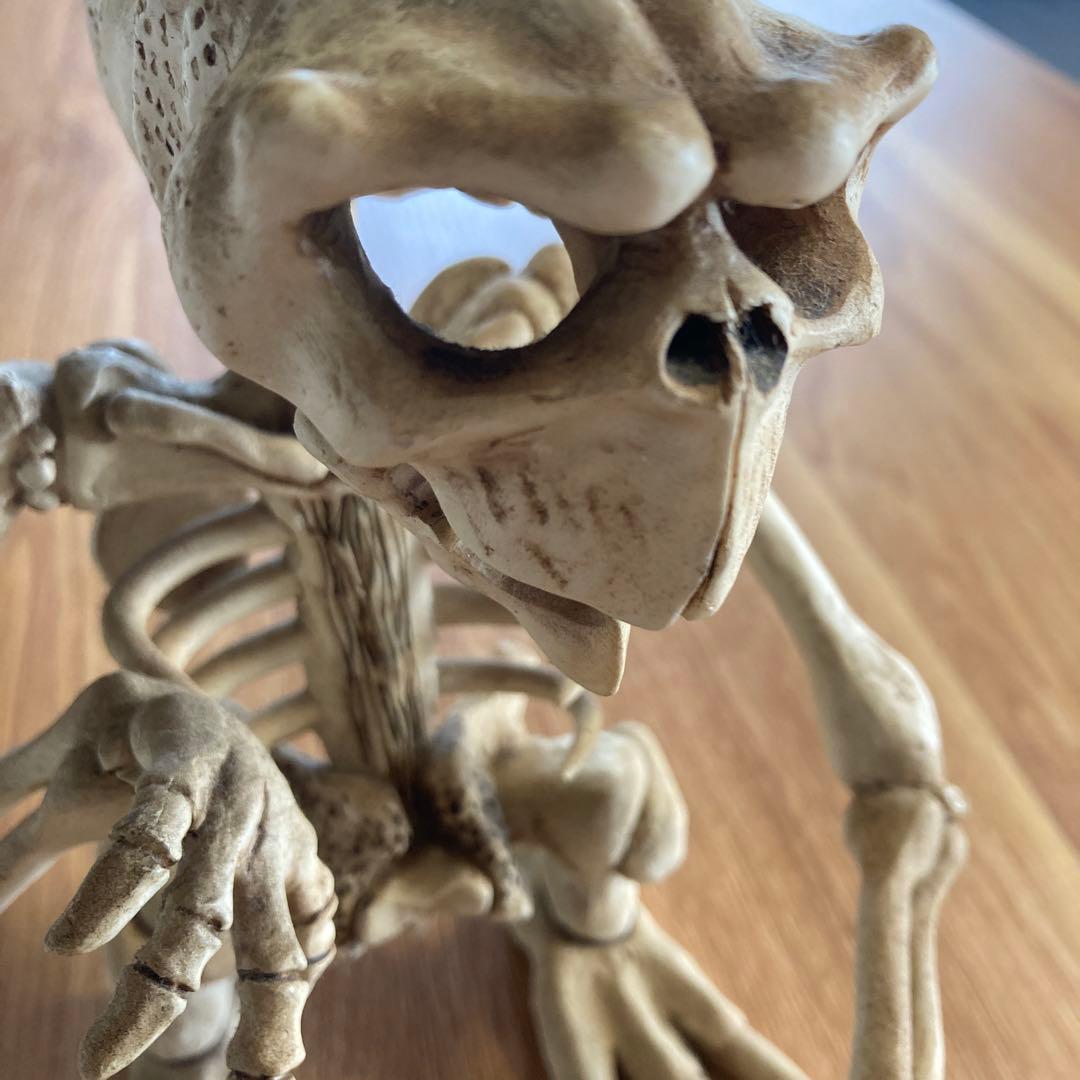 超レア　E.T スカル　フィギュア