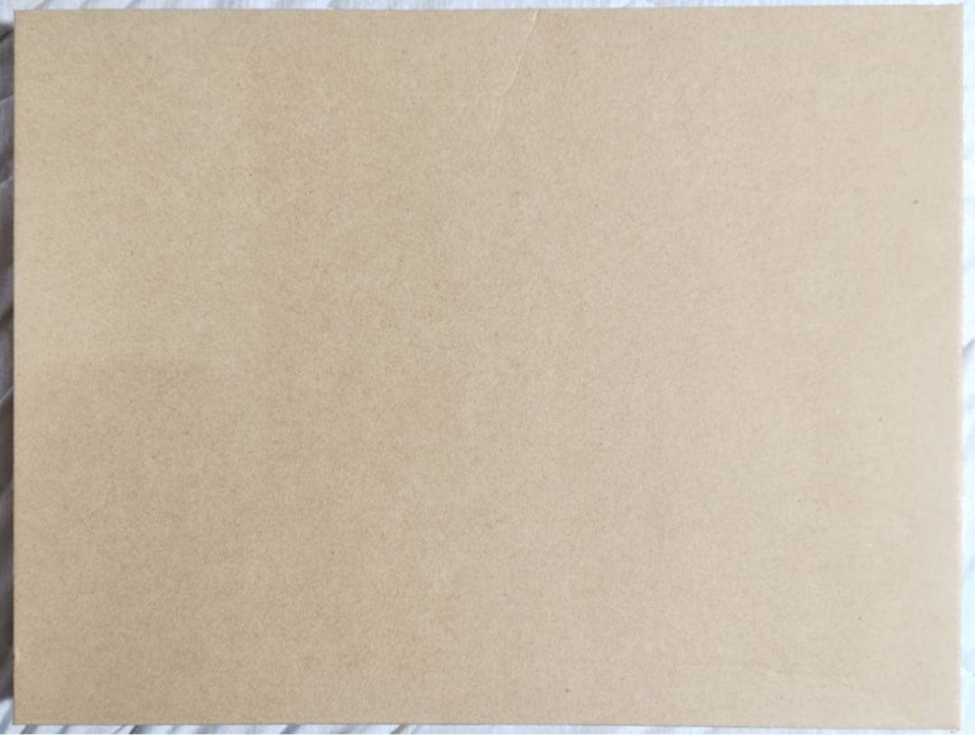 バカとテストと召喚獣 磯村知美 (霧島翔子) 直筆サイン入り 複製原画