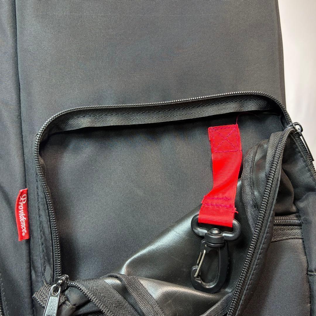 Providence ベース ギグバッグ　ソフトケース 衝撃吸収　プロビデンス