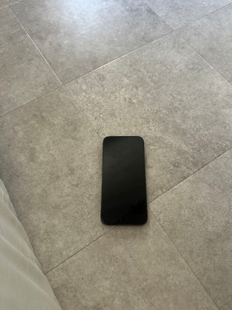 Apple iPhone 13 Pro Max グラファイト