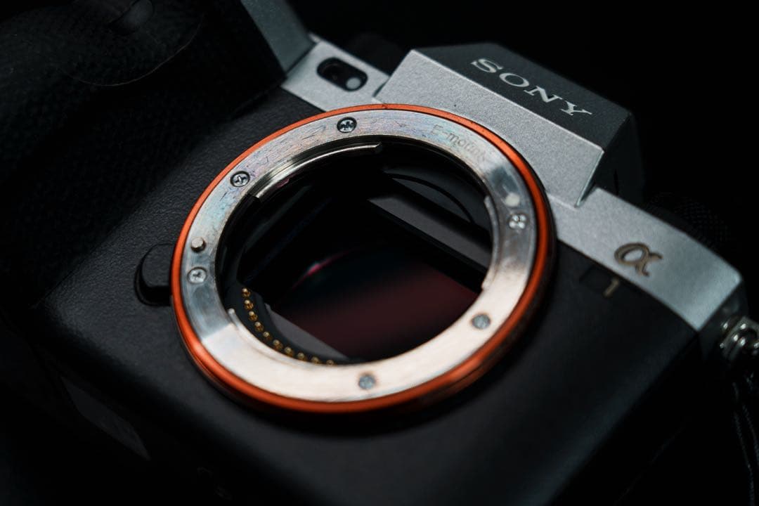 SONY α1 ミラーレス一眼カメラ ILCE-1 ボディ 純粋SDカード付き