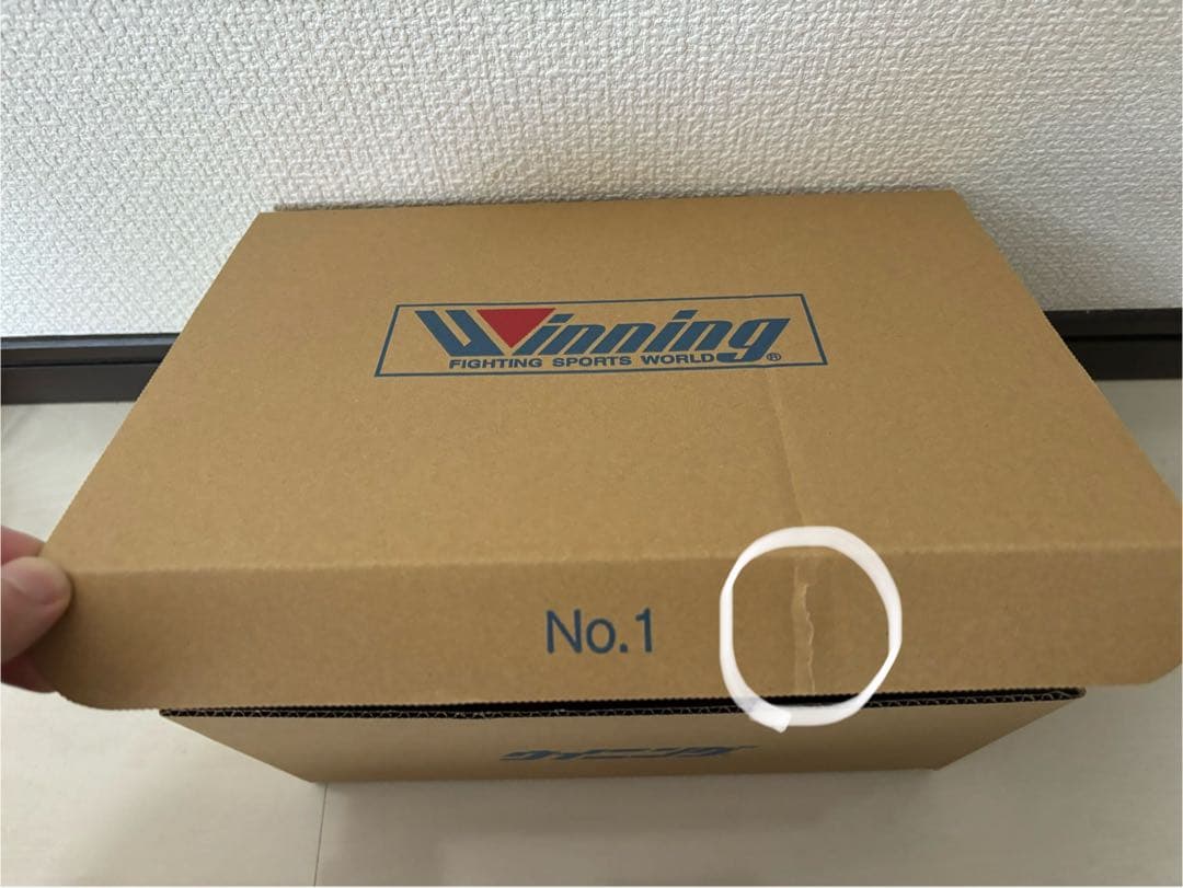 ウイニング　Winning ヘッドギア　FG-2900 ボクシング　Lサイズ