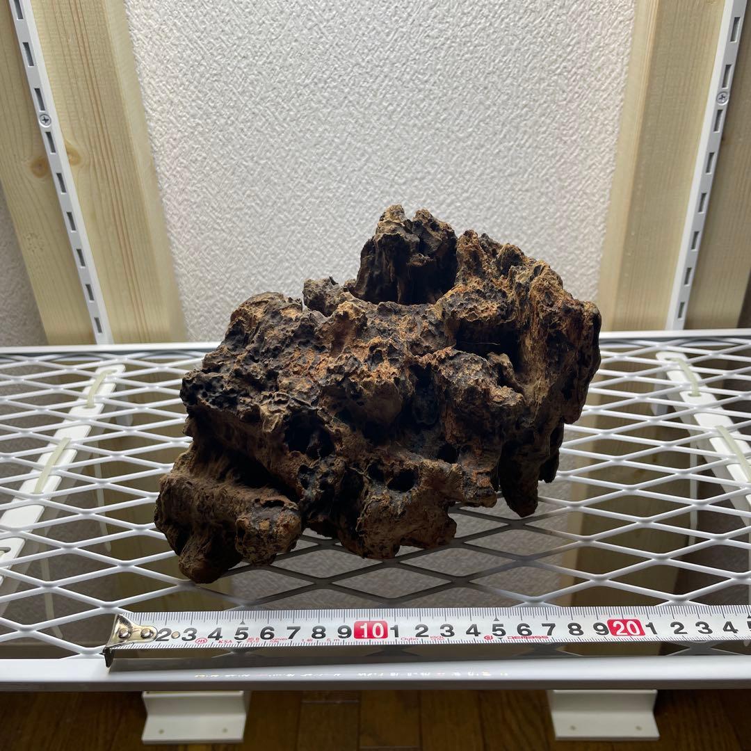 極上　スラウェシウッド　塊状流木　岩石