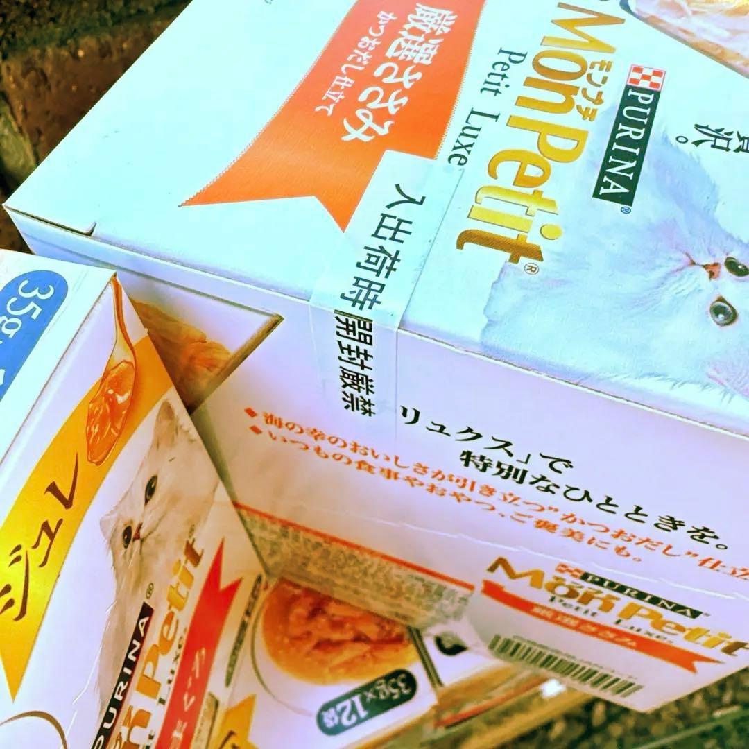 ゴン太　　猫C 最終値下げしました！