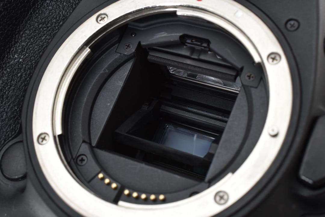 デジタル一眼レフカメラ Canon EOS 7D Mark II標準レンズセット