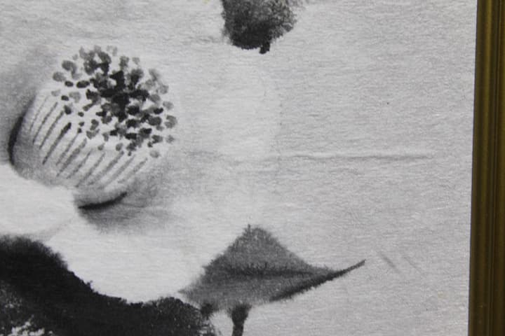 穐月明【籠の椿】 水墨画 4号