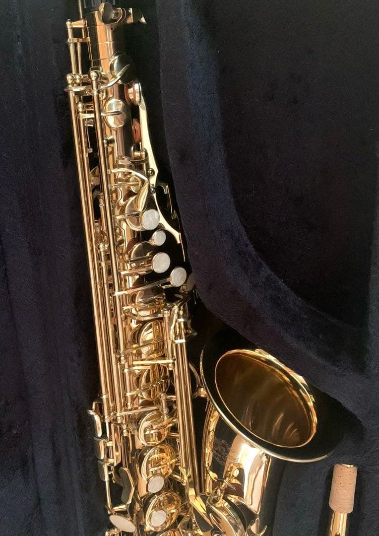 美品★アルトサックス　J.Michael AL-500 お手入れセットケース付き