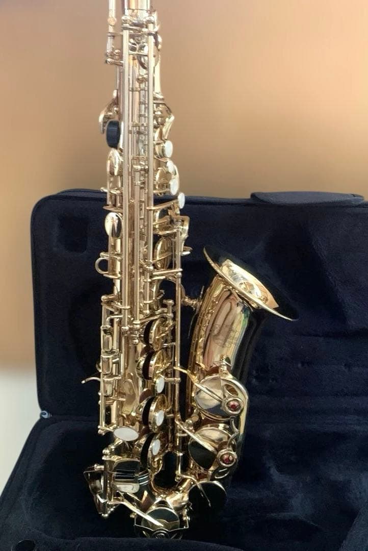 美品★アルトサックス　J.Michael AL-500 お手入れセットケース付き