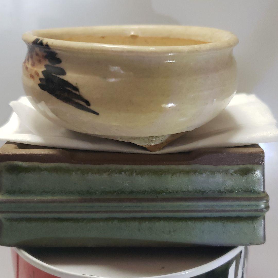 盆栽鉢　是好　中村是好