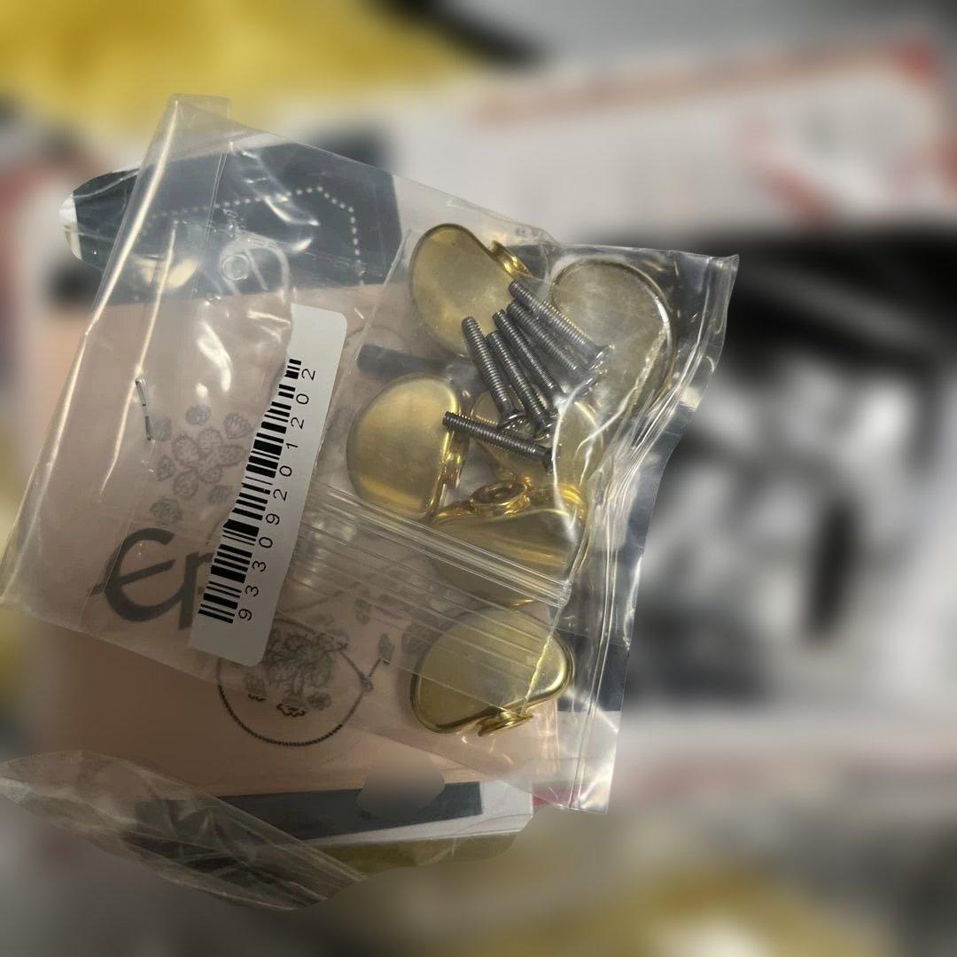 ギター Epiphone Inspired by Gibson custom SG