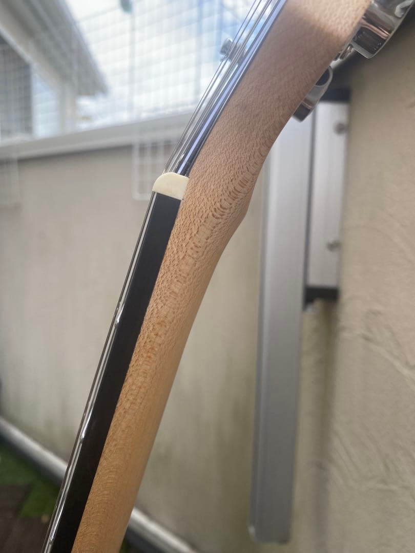 RYOGA NEO(リョーガ ネオ)