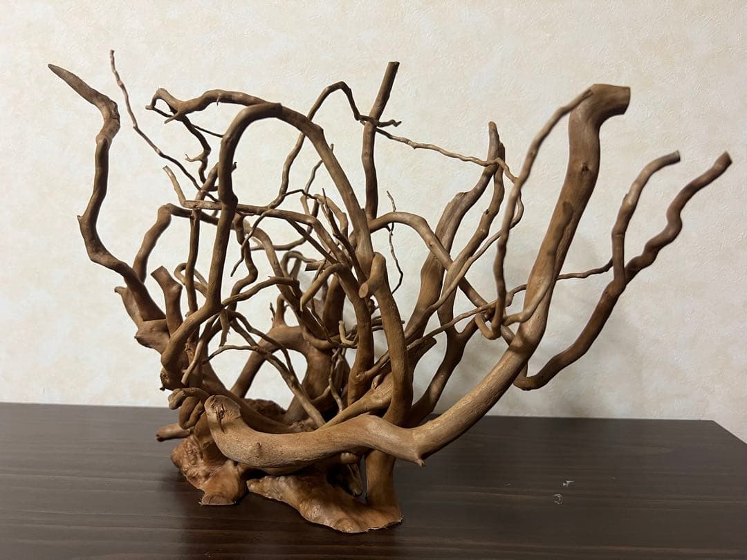 30211 ブランチウッド　流木　アクアリウム　沈水確認済