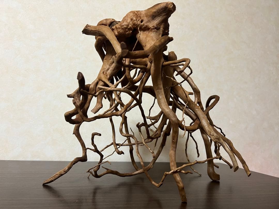 30211 ブランチウッド　流木　アクアリウム　沈水確認済