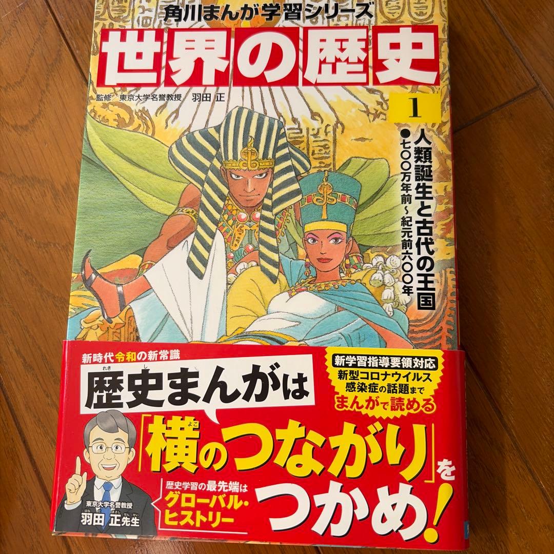 角川　マンガ学習シリーズ　世界の歴史 全20巻セット