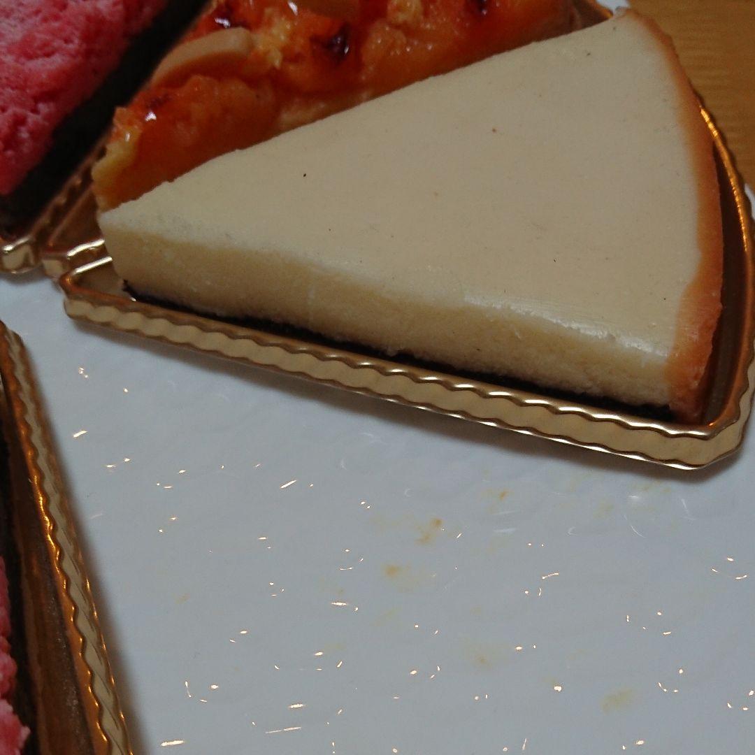 タルト 8ピースセット （食品サンプル）