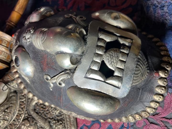 チベタンスカル　カパーラ　レジン亀甲