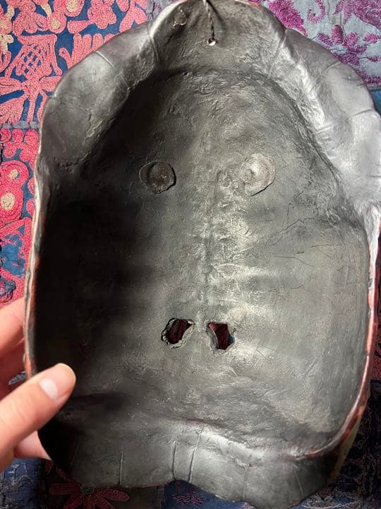 チベタンスカル　カパーラ　レジン亀甲