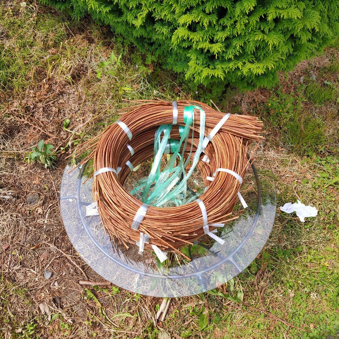 みっくん　青森県岩木山採取　あけび蔓　150cm～　3kg