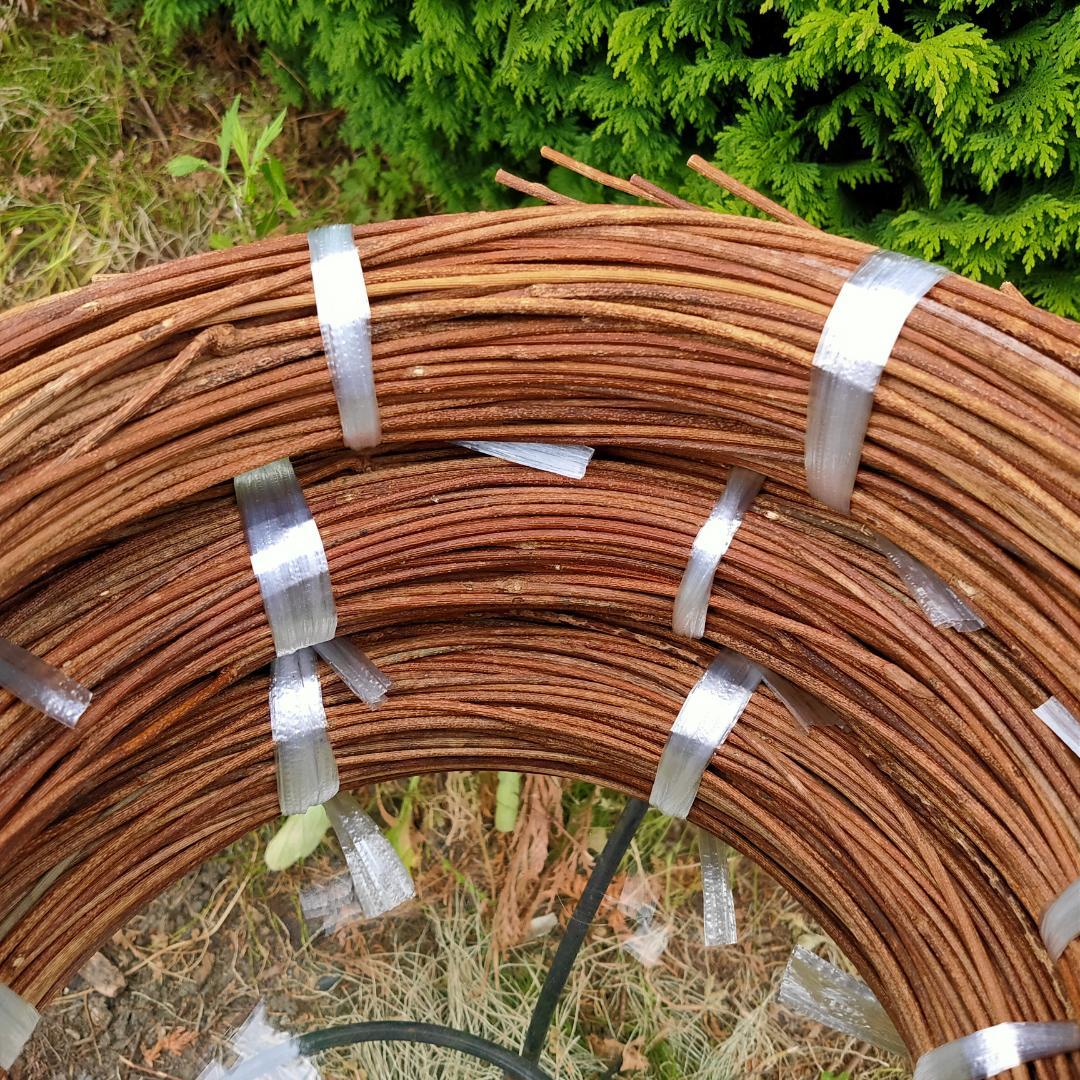 みっくん　青森県岩木山採取　あけび蔓　150cm～　3kg