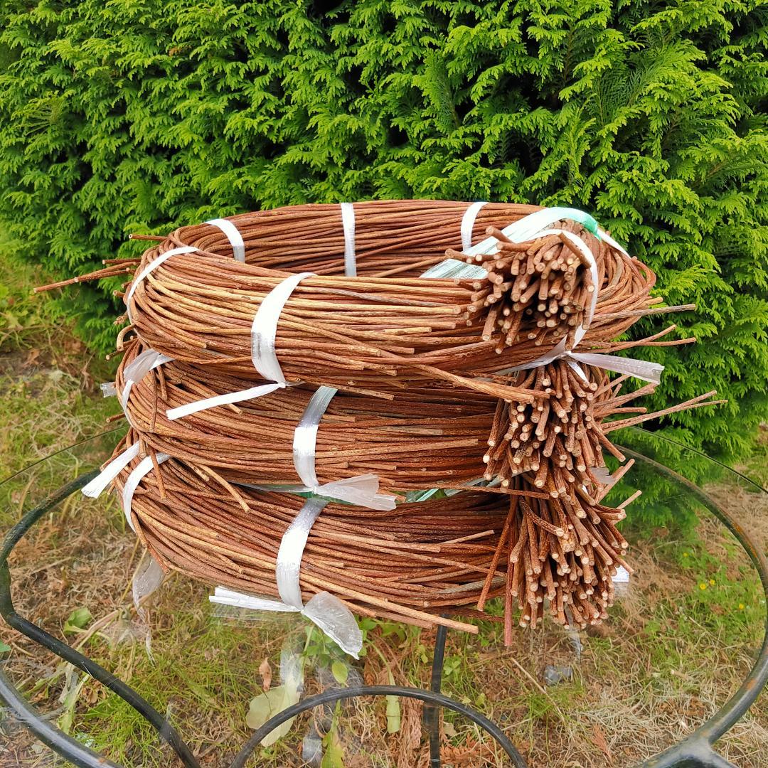 みっくん　青森県岩木山採取　あけび蔓　150cm～　3kg