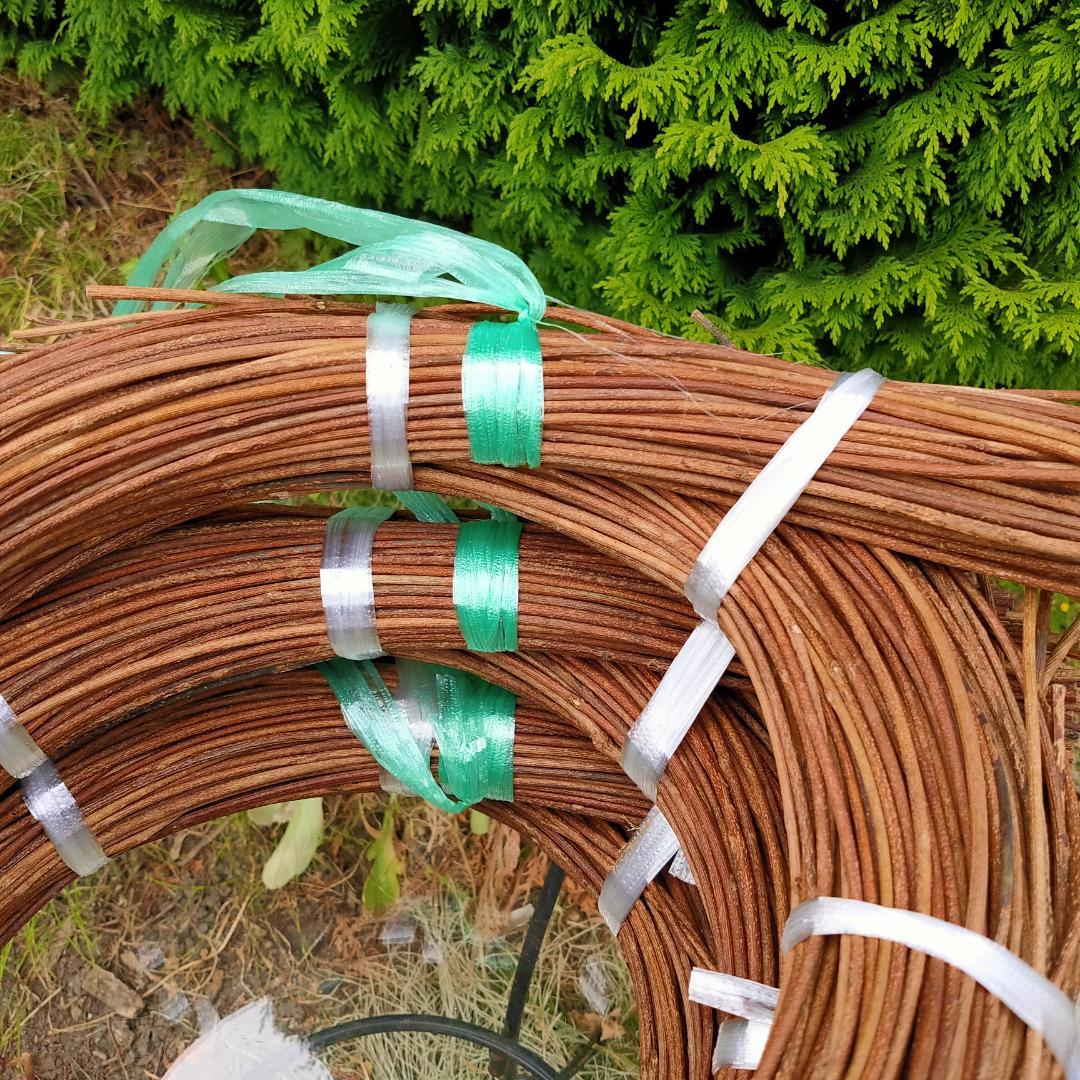 みっくん　青森県岩木山採取　あけび蔓　150cm～　3kg