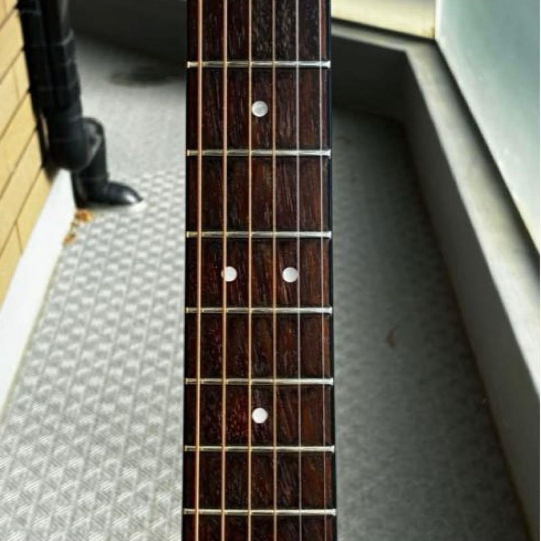 メダカちゃんページ【弦新品】Morris アコギ 初心者向け