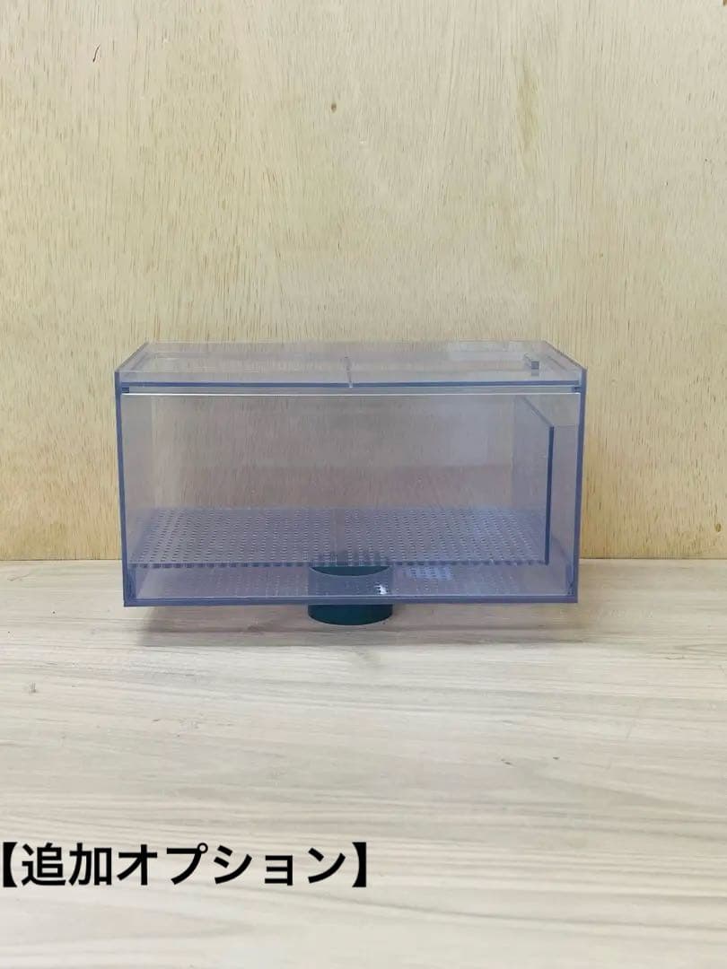 1セット限定♫ 300ｘ300ｘ400オールガラスオーバーフロー水槽
