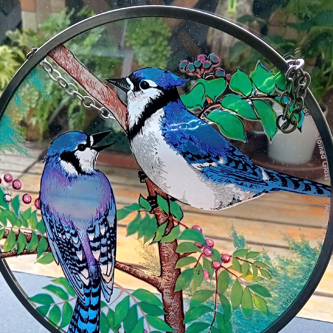 トロント・ステンドグラス Blue Jay ブルージェイ アオカケス