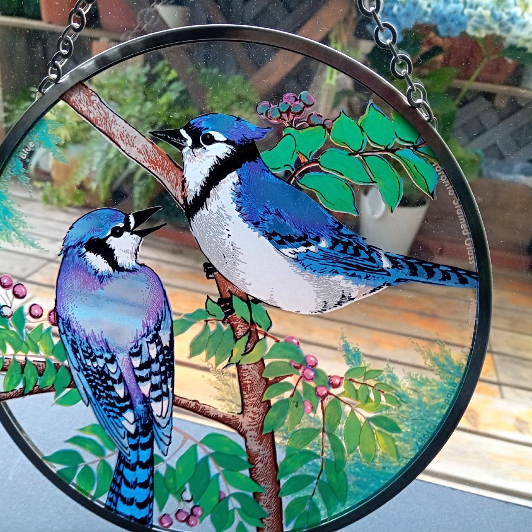 トロント・ステンドグラス Blue Jay ブルージェイ アオカケス