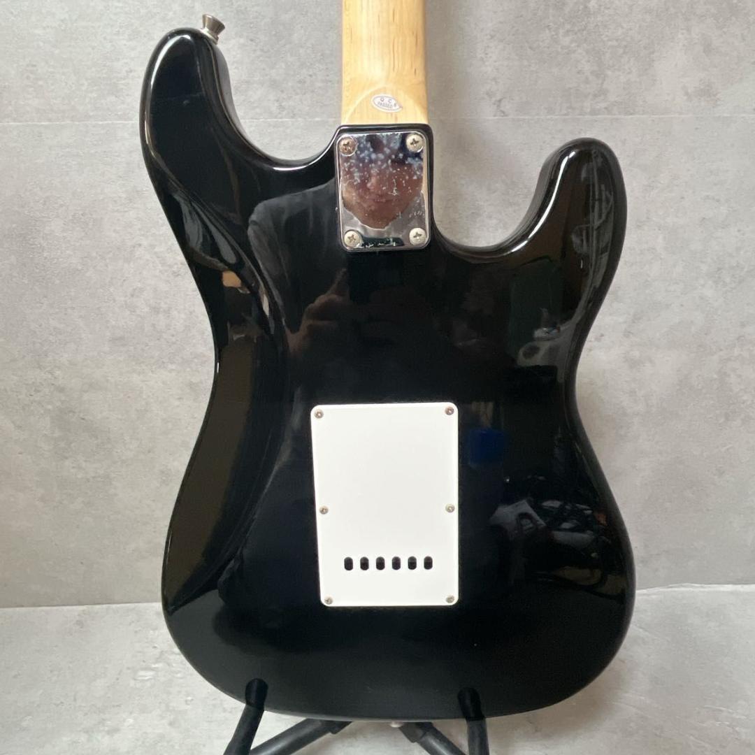 SELDER セルダー エレキギター レフティ 左利き ケース アーム ブラック