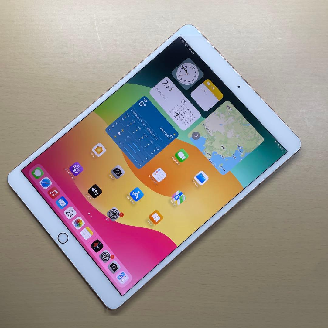iPad Pro 10.5 256GB Wi-Fi 割れなし　A1701