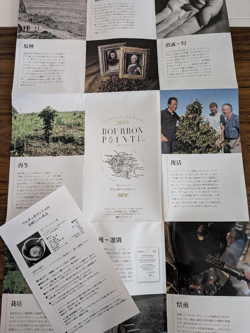 レア　ブルボンポワントゥ　2019年