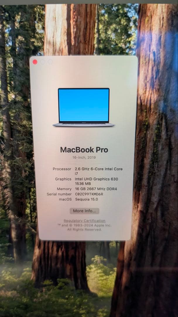 MacBook Pro 16インチ Model No. : A2141