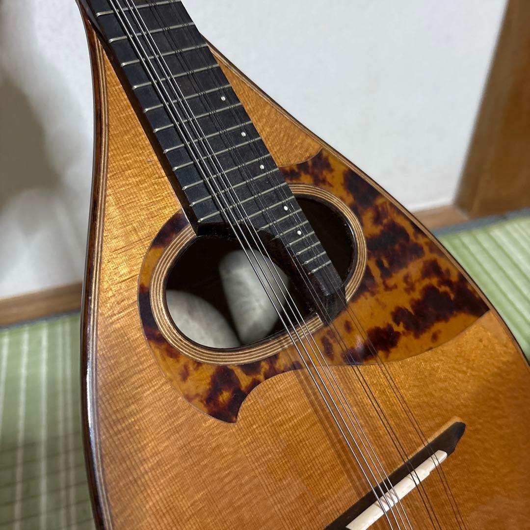 Raffaele 寺田楽器製 ハイエンド マンドリン RM-3 弦　ギター