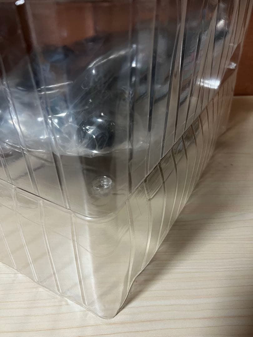 【内ブリスター開封】東宝30cmシリーズ ゴジラ（2023） 少年リック限定版