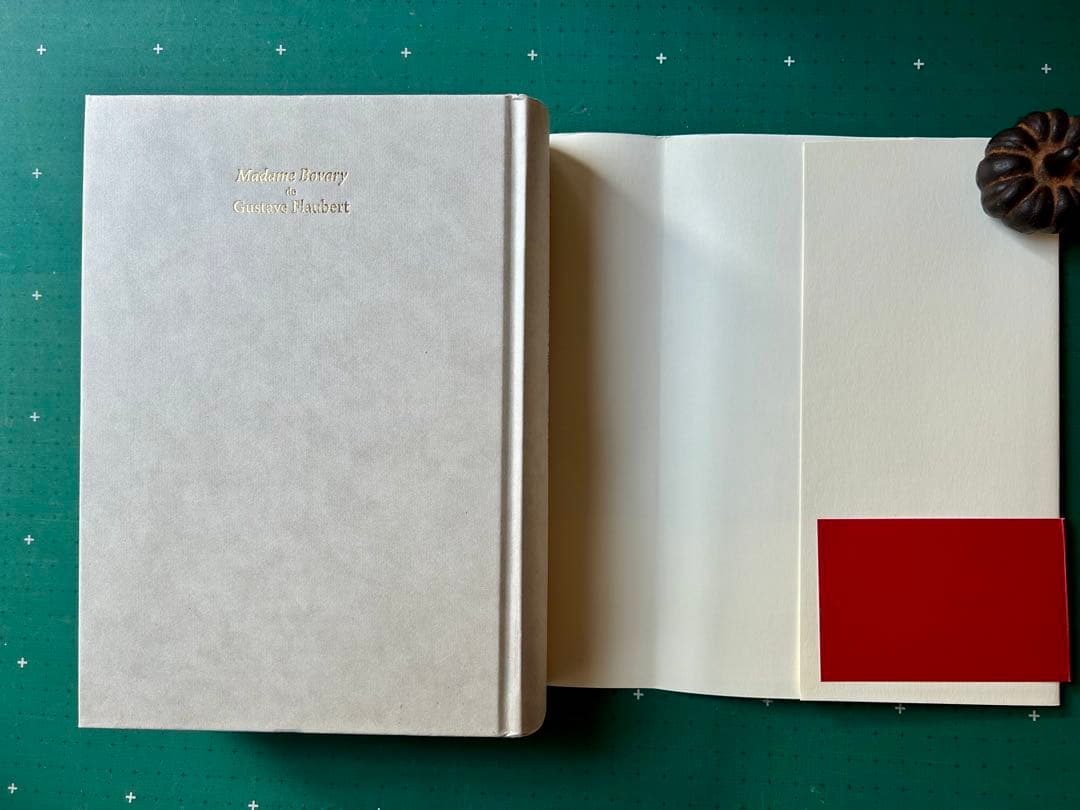 蓮實重彦「『ボヴァリー夫人』論」　2014年初版