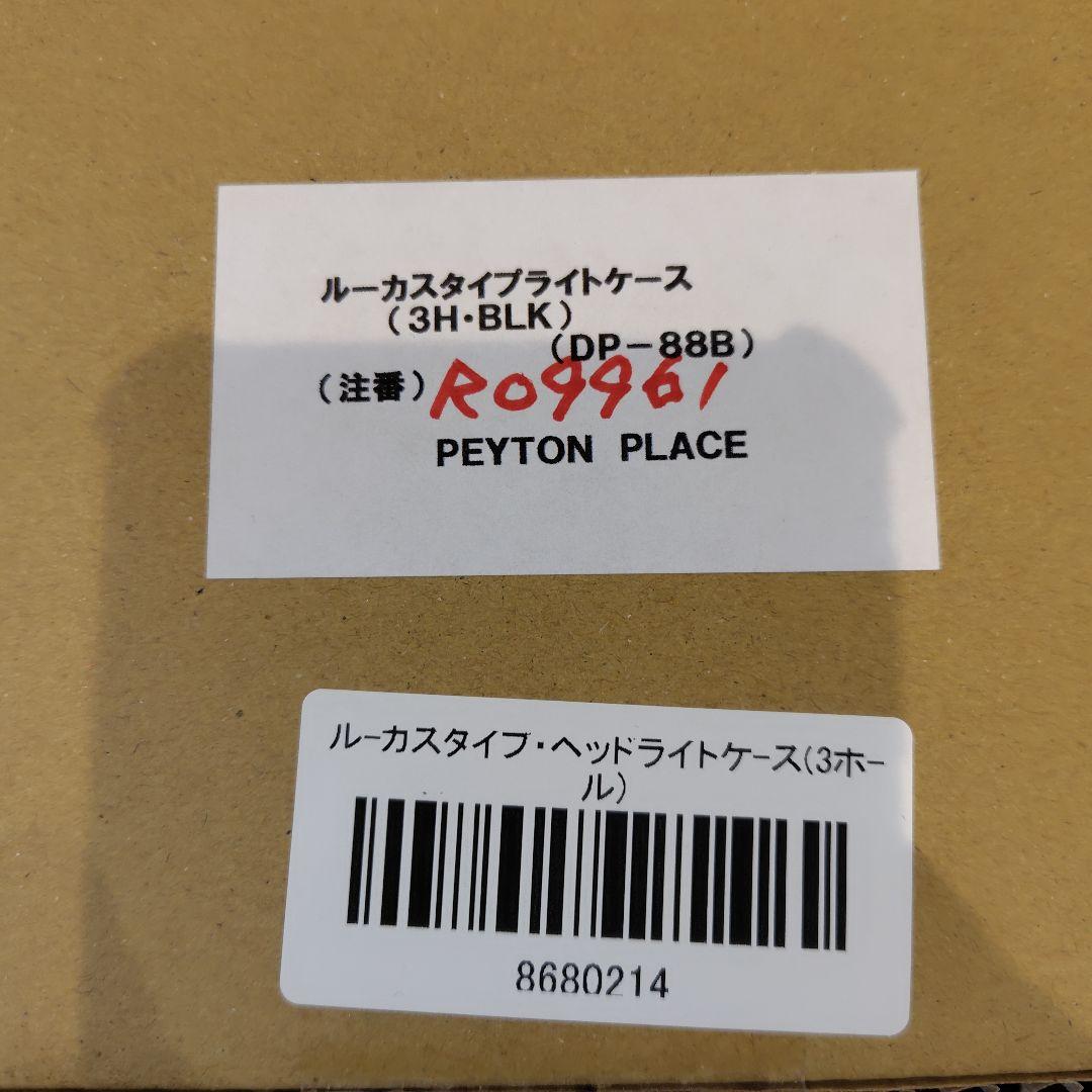 PAYTON PLACE ルーカスヘッドライトケース 3ホール SR400