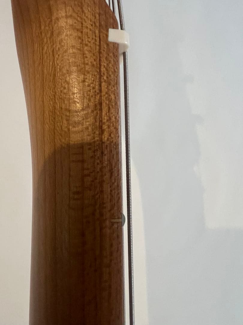 【最終価格】Bacchus TAC24 STD-RSM/M M-SFG