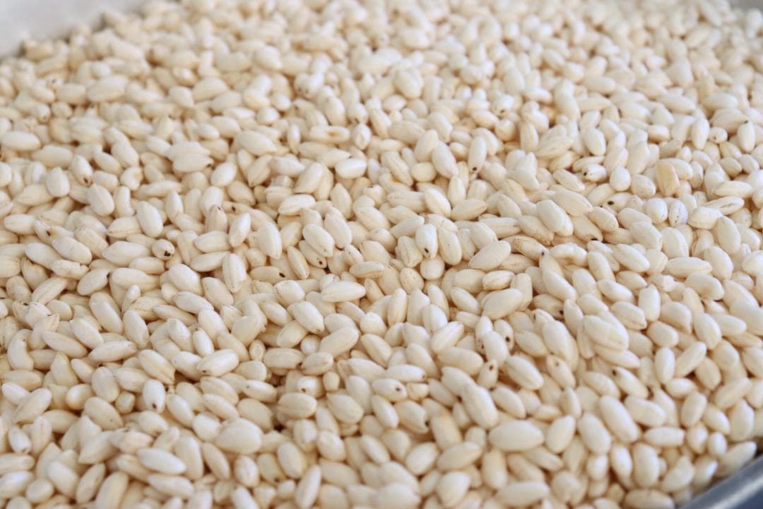 犬補助栄養食　ポン菓子　大容量300ｍｌ米１合　ポップコーン　日本語説明書付d