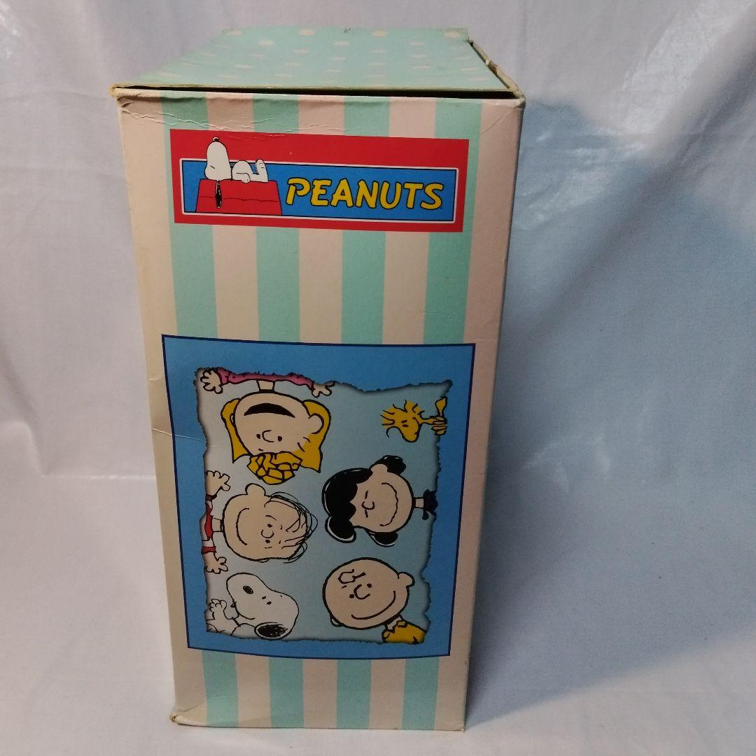 2001 マダムアレクサンダー PEANUTS Charlie Brown箱難