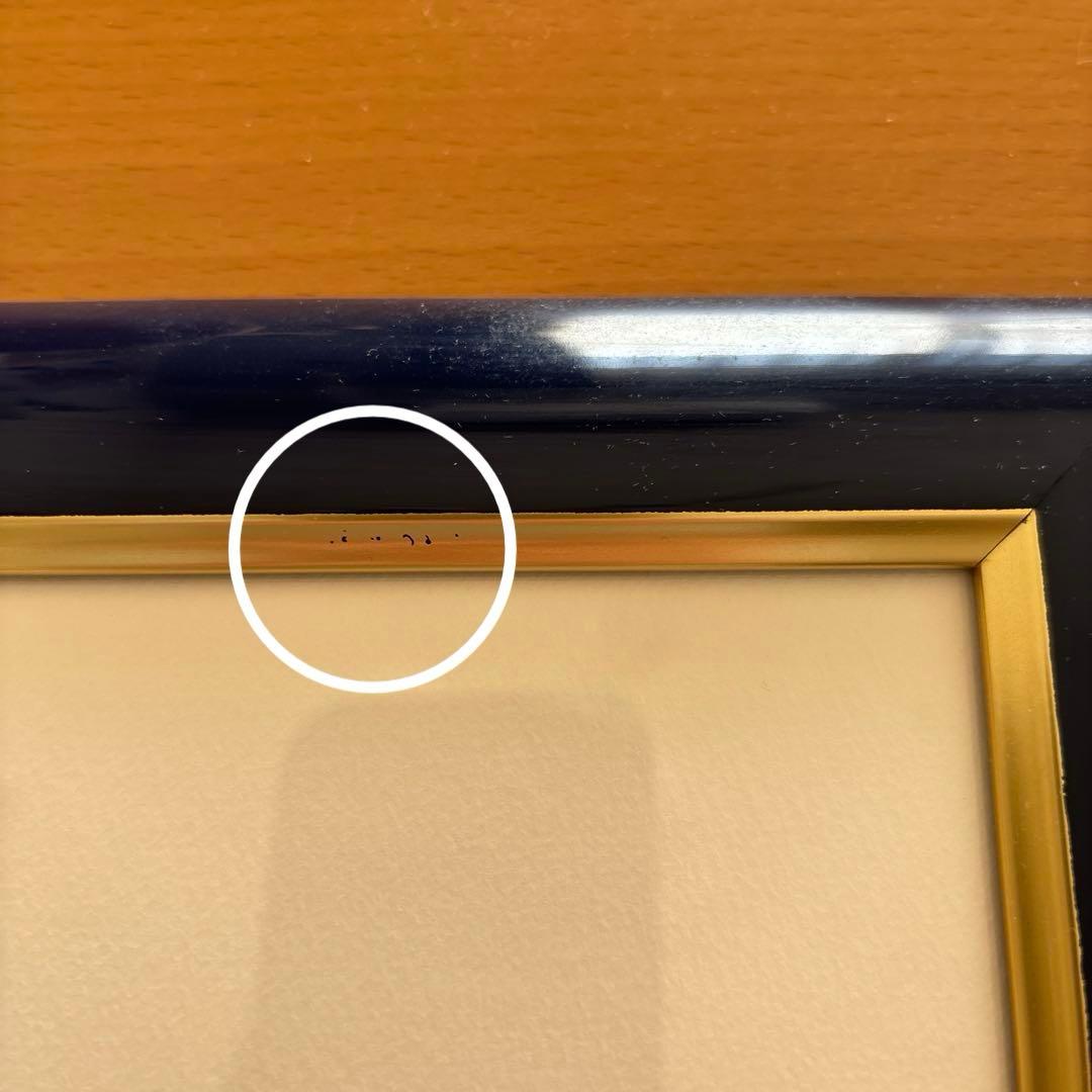 Seiji Fujishiro レフグラフ　サイン入り【線香花火】　藤城清治