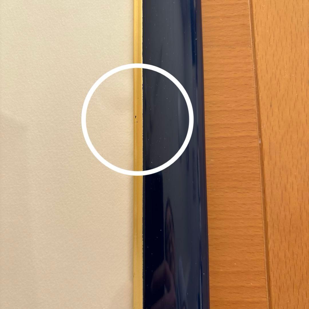 Seiji Fujishiro レフグラフ　サイン入り【線香花火】　藤城清治