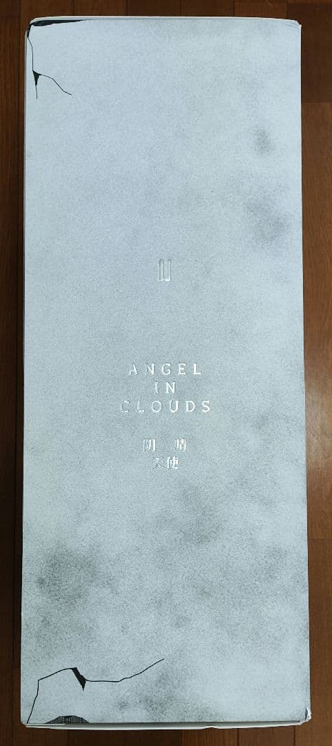 オ*作様 新品 POP MART THE MONSTERS ANGEL IN C