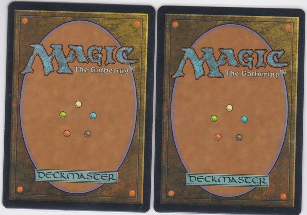 MTG 古えの墳墓　テンペスト　日本語　2枚