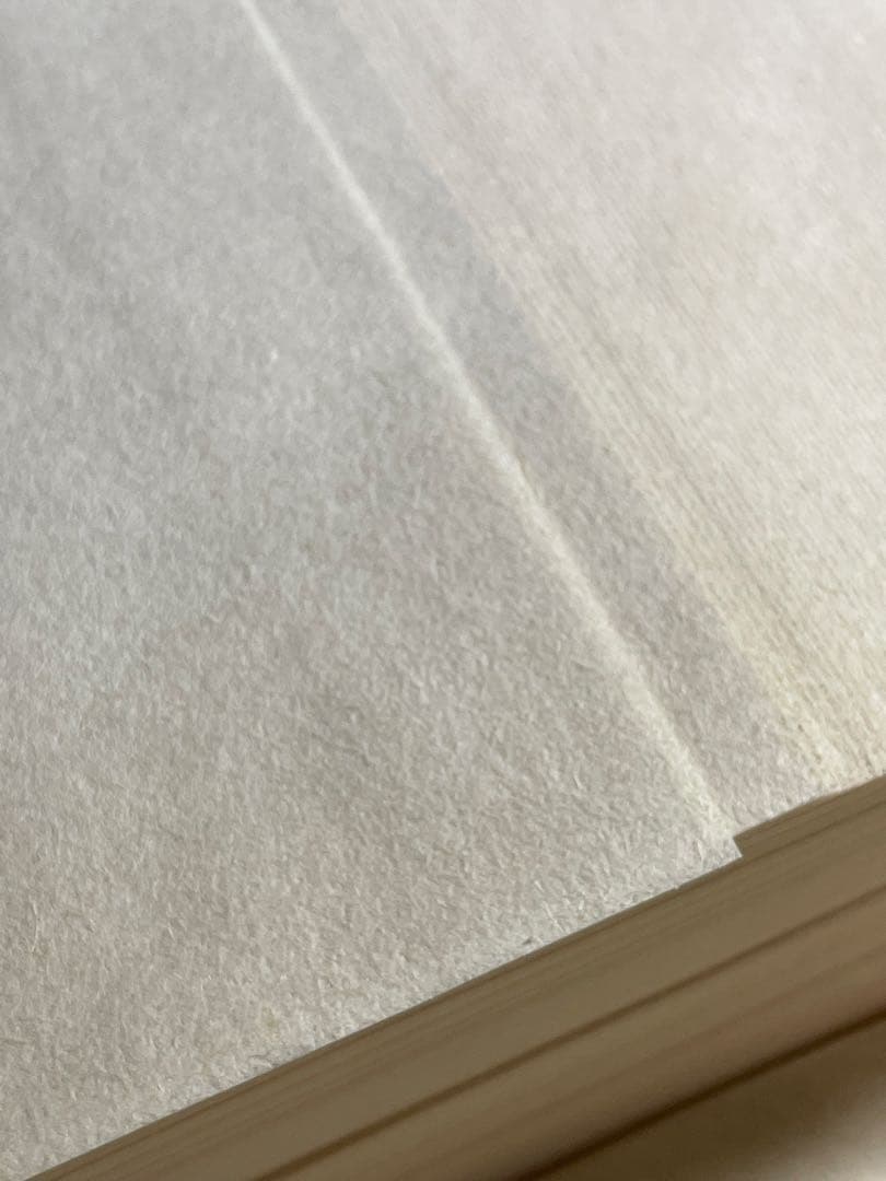 【墨研】因州画仙紙◆「三楽箋 」全紙二反200枚◆未使用品◆書道和紙 古紙