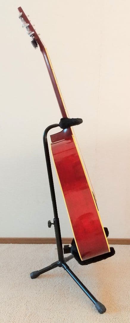 アコースティックギター Morris  WD-30