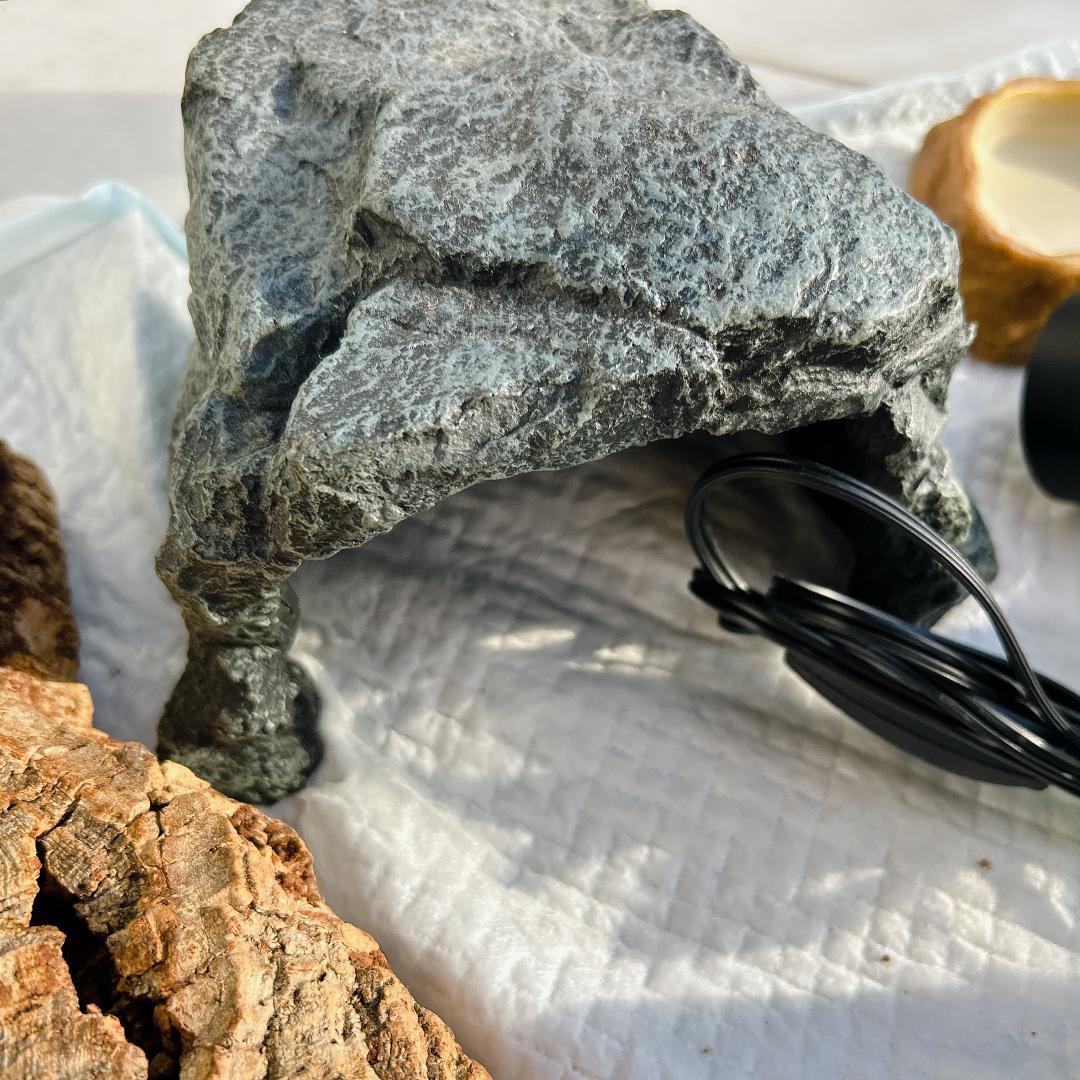 爬虫類飼育ケージ ライト インテリアセット 60x40x40cm トップテラ？