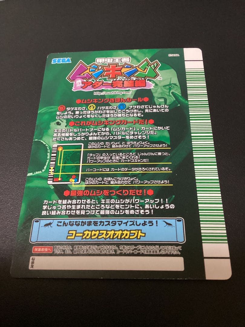 ぷてらす　ヘルクレスオオカブト 他