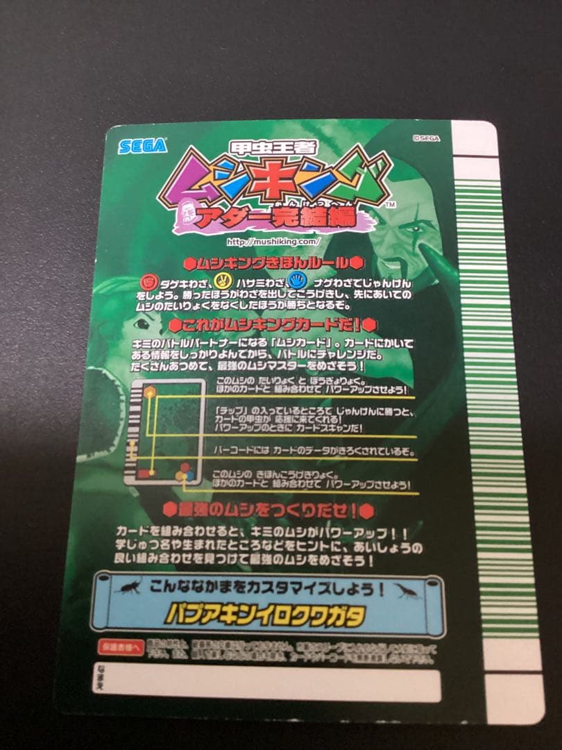 ぷてらす　ヘルクレスオオカブト 他