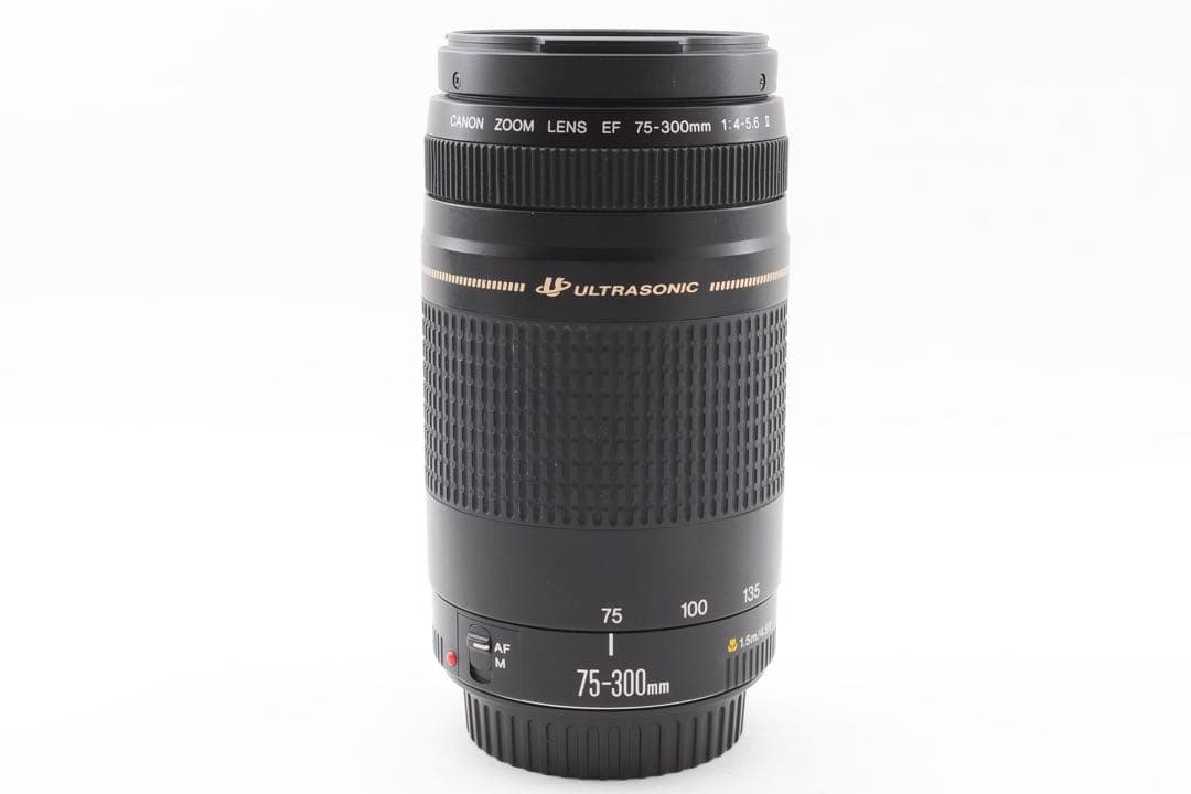 遠くも撮れる/望遠レンズ/CANON EF 75-300㎜F4-5.6 II